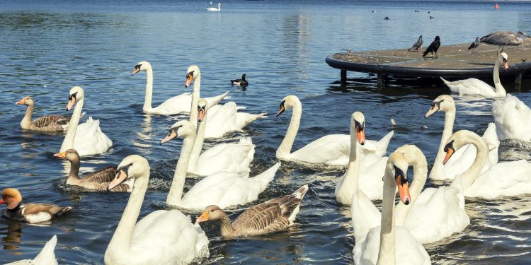 Are We Losing Earth?