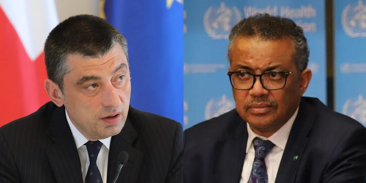 WHO to Support Georgia in Getting First Supplies of COVID Vaccine ASAP