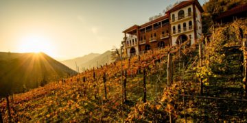 Discover How the EU & CENN are Helping Keda to Bloom