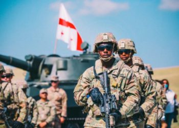 US Ambassador: Difficult Year Brings Out the Best in US-Georgian Partnership