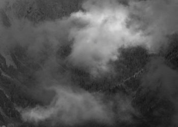 How Beeline Bid Farewell to 2020