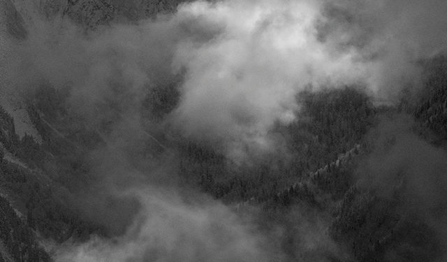 How Beeline Bid Farewell to 2020