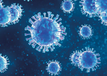 Corona Update: Restrictions to Remain until February 1