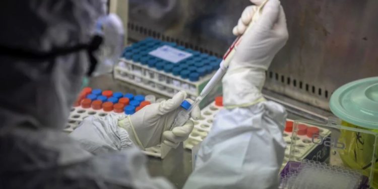 Coronavirus: Georgia Records 1618 New Cases, 19438 Tests Performed