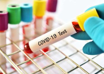 Georgia Reports 742 New Cases of Coronavirus