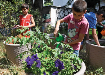 How Beeline Bid Farewell to 2020