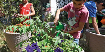 How Beeline Bid Farewell to 2020