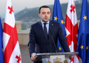 Georgian PM Appoints Vice Prime Ministers