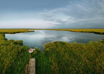 US Embassy Celebrates Kolkheti National Park on World Wetlands Day