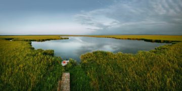 US Embassy Celebrates Kolkheti National Park on World Wetlands Day