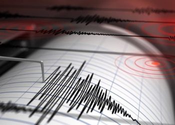 Strong Earthquake Reported in Georgia