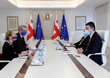 PM, US & EU Amb’s Demand Immediate Release of Illegally Detained Georgian Citizen