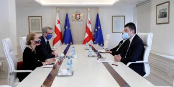 PM, US & EU Amb’s Demand Immediate Release of Illegally Detained Georgian Citizen