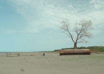 Berlinale to Showcase Salomé Jashi’s Documentary ‘Taming the Garden’