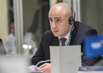 PACE Georgia Monitors React to Tbilisi Raid, Arrest of Opposition Leader