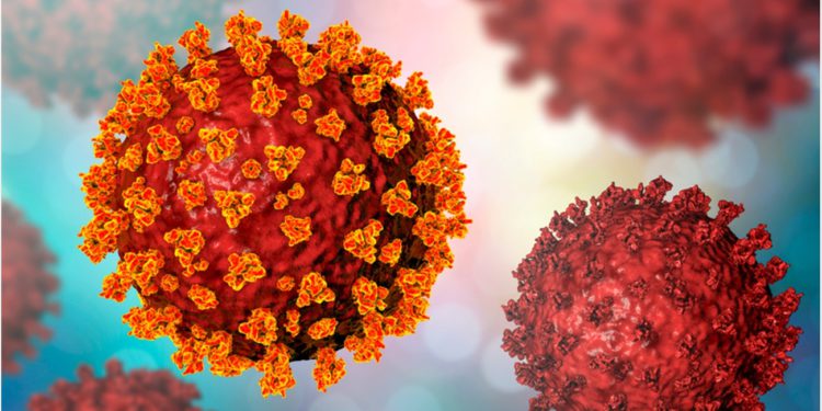 Coronavirus: Georgia Reports 583 New Cases, 16605 Tests Performed