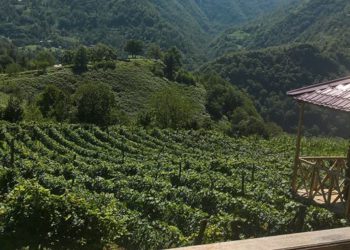 Discover How the EU & CENN are Helping Keda to Bloom