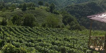 Discover How the EU & CENN are Helping Keda to Bloom