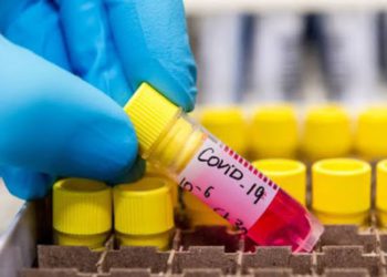 Coronavirus: Georgia Records 544 New Cases, 5 Deaths