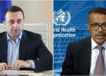Georgian PM, WHO Director-general Discuss Vaccination