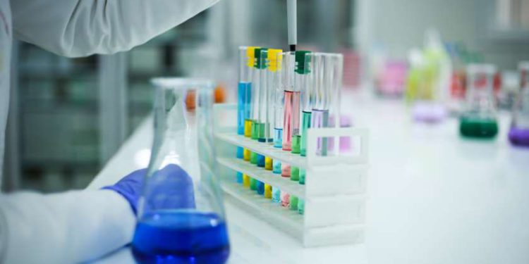 Georgia Reports 858 New Cases of Coronavirus, 14 Deaths