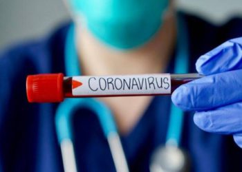 Coronavirus: Georgia Records 204 New Cases, 6593 Tests Performed
