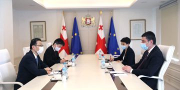 Georgian PM, Japan Ambassador Discuss Bilateral Relations