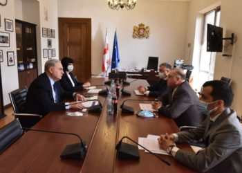 MP Kovzanadze, Fiscal Committee Chair: During the Economic Contraction, Accurately Identifying Risks in the Commercial Banking Sector & Adequate Banking Supervision are Essential