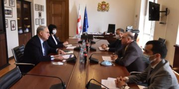 MP Kovzanadze, Fiscal Committee Chair: During the Economic Contraction, Accurately Identifying Risks in the Commercial Banking Sector & Adequate Banking Supervision are Essential