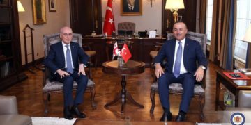 FM: Turkey Supports Georgia in Deepening Relations with Euro-Atlantic Structures