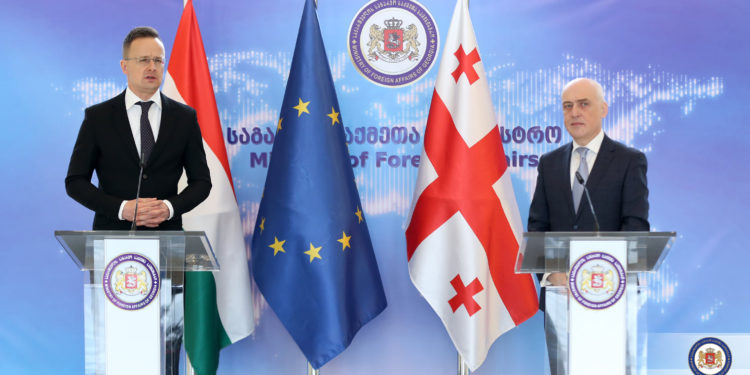 Peter Siarto: We Support Georgia’s Will to Apply for EU Membership in 2024