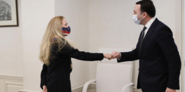 US Amb. to Georgian PM: We Want Political Crisis to be Defused Quickly