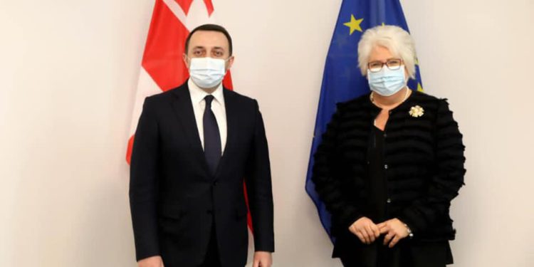 PM Meets with Head of South Caucasus Delegation of European Parliament