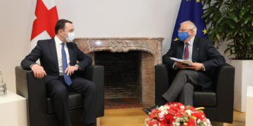 Association Council: In 2020 Elections, Fundamental Freedoms Were Respected