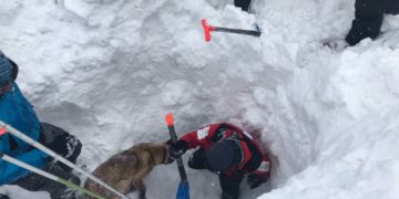 Skier Found Dead near Gudauri