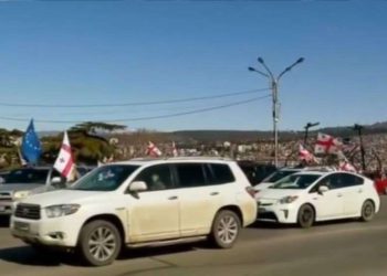 Rally Held in Support of Nika Melia