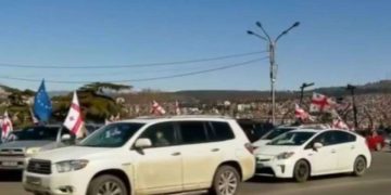 Rally Held in Support of Nika Melia