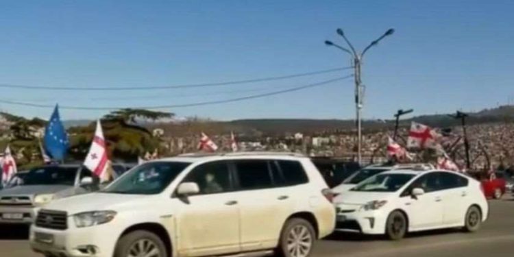 Rally Held in Support of Nika Melia