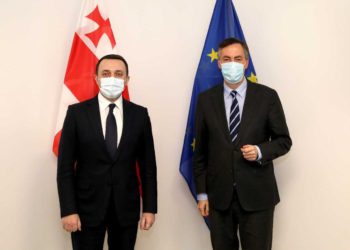 PM, European Parliament Foreign Affairs Committee Chair Discuss Country’s Political Processes