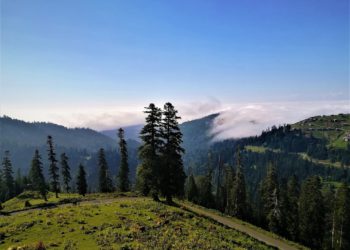 APA: New National Park in Georgia