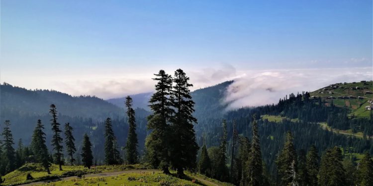 APA: New National Park in Georgia