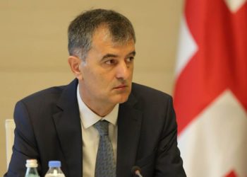 Negotiation Process Depends Entirely on Opposition, Says Sozar Subari