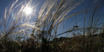 EU Supports Long-term Planning of Ukraine’s Geological Disposal for Radioactive Waste