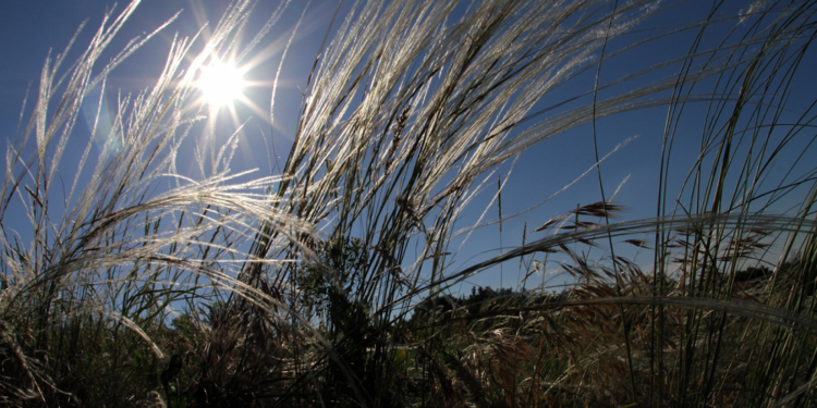 EU Supports Long-term Planning of Ukraine’s Geological Disposal for Radioactive Waste