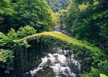 Keeping Nature Safe in Georgia’s Protected Areas