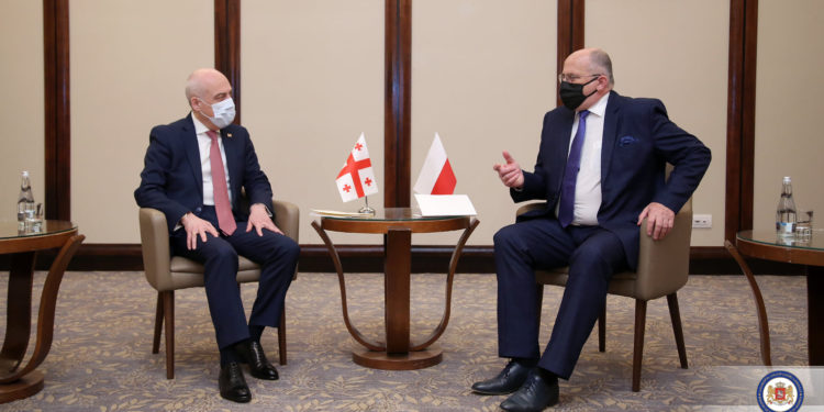 Vice Prime Minister of Georgia Davit Zalkaliani Meets with Polish Counterpart Zbigniew Rau