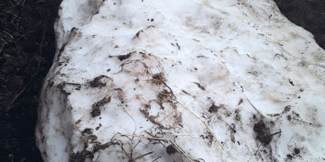 Back to Spring: Etseri, Svaneti