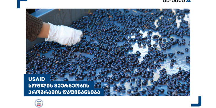 USAID-ის და თიბისის კოლაბორაცია აგროსრექტორის მხარდასაჭერად