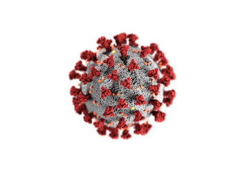 Epidemic Situation Escalates in India