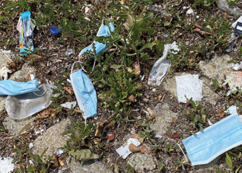 Photo by Lindsey Nicholson / Education Images / Universal Images Group